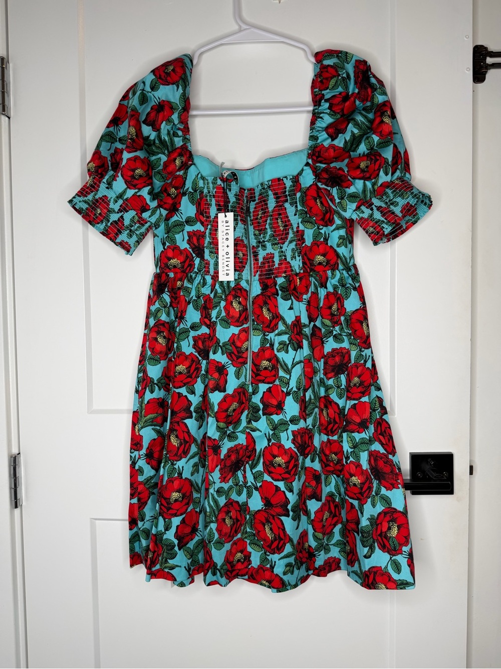 Alice + Olivia Red Floral Mini Dress on Turquoise - Picture 2 of 5